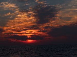 img_0104